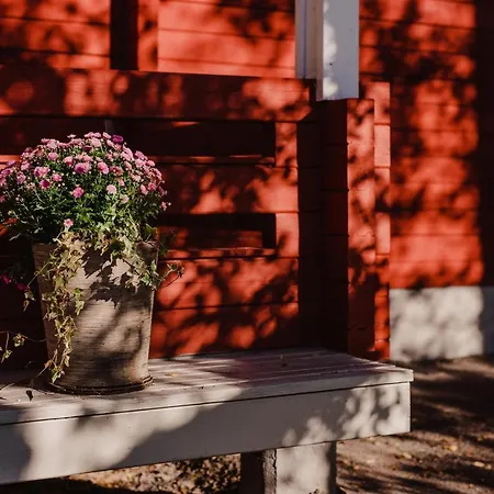 Wanha Πανσιόν