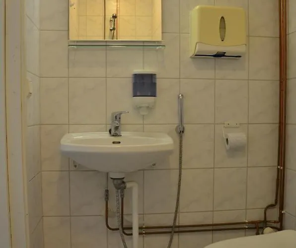 Guest house Wanha 2*